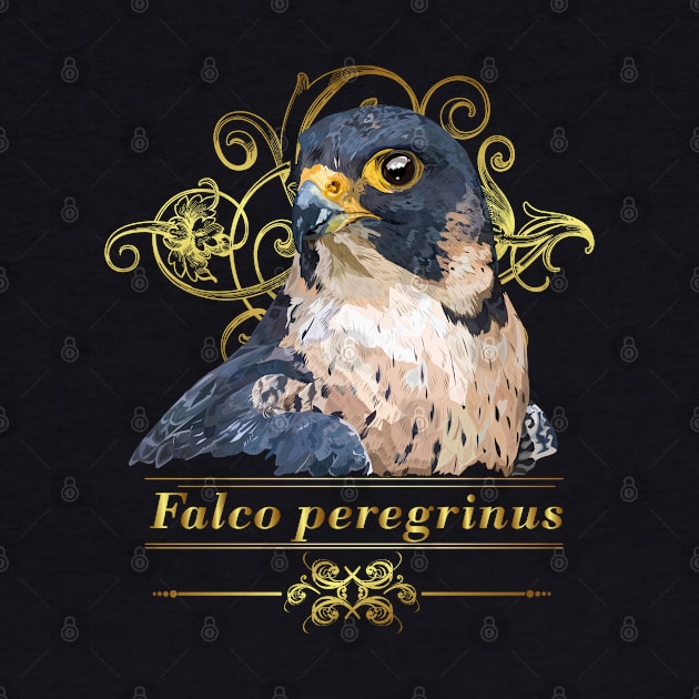 Peregrine falcon by obscurite